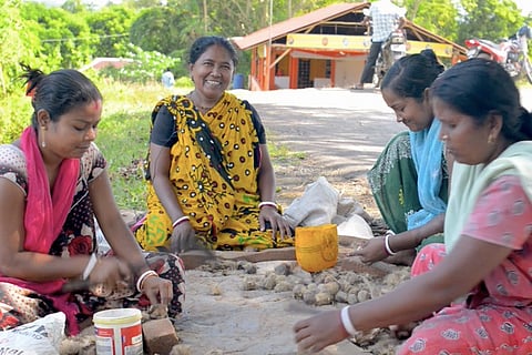 Watch: How women in Andamans help the arecanut industry in the islands