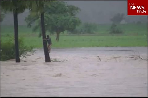 Andhra teen displays courage in swirling floodwaters, clings on to tree for 8 hours