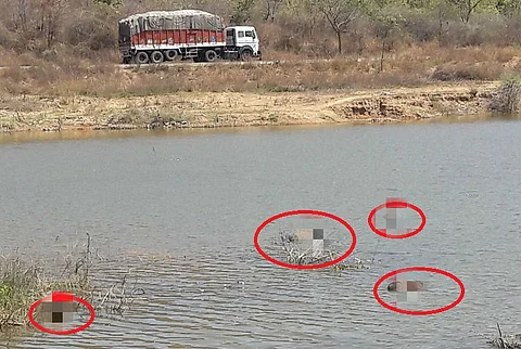 5 bodies found floating in Andhra lake, police yet to identify dead