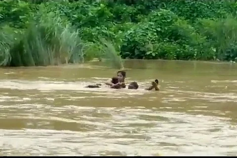 Andhra student crosses swollen river to attend exam in Vizag