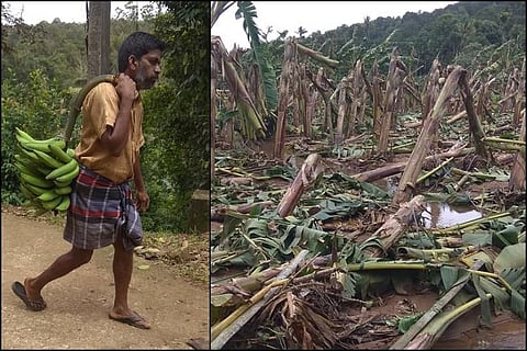 How a bunch of bananas offered by a Kerala farmer for flood relief turned into clothes