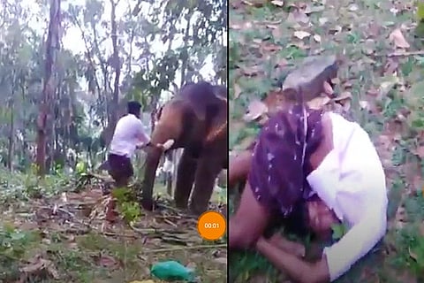Watch: Kerala man tries ‘Baahubali’ stunt, gets punched in the gut by elephant