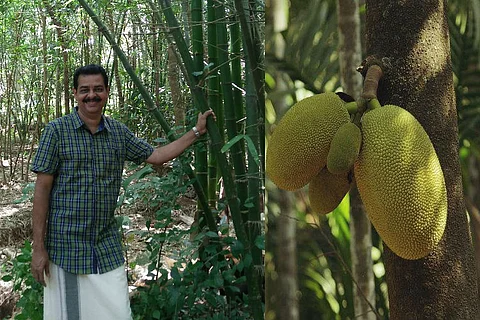 Meet the man who got Kerala govt to declare jackfruit as the state's official fruit