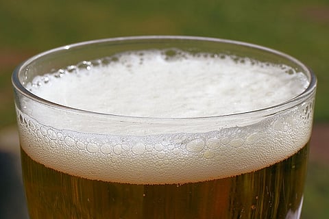 TN wants to export beer to make up for losses from closure of liquor shops