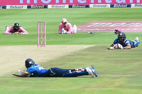 Comic relief for spectators as bees force players to hit the ground in SL vs SA match
