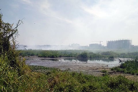 To save Bellandur Lake, is Karnataka killing other lakes? Scientists question govt