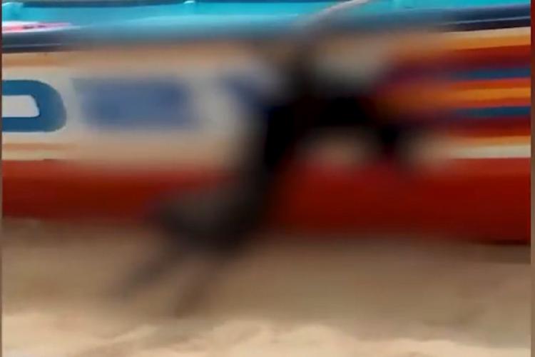 A dog, named Bruno, which was beaten and hanged in Kerala's Vizhinjam