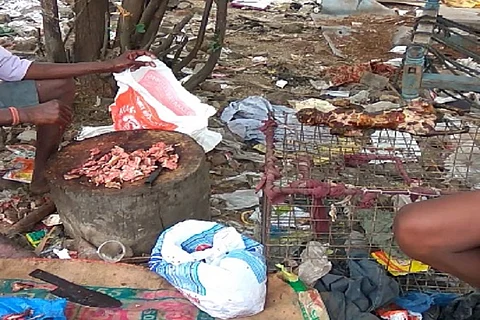 Cat meat trade busted in Chennai, 16 cats rescued