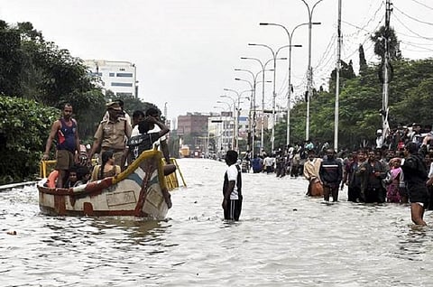 Shrinking wetlands, green cover have exposed Chennai to climate risks