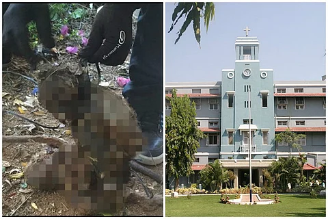 Suspended CMC medicos accused of torturing and killing monkey seek anticipatory bail