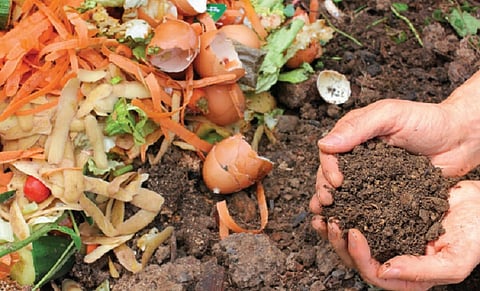 Will Bengaluru residents soon have to compost wet waste at home?