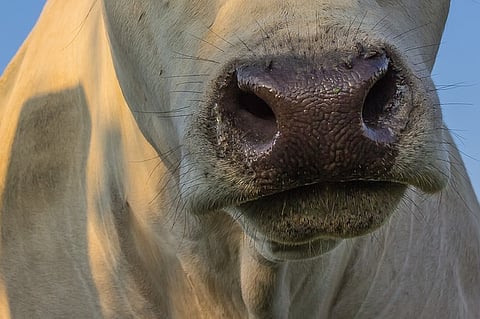 Guess who might be called the latest anti-national?