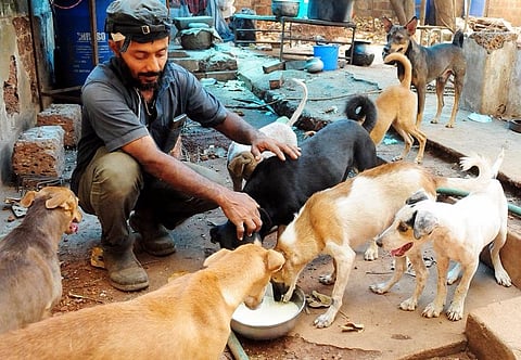 For housing 40 stray dogs, this Kerala man faces protests from local residents