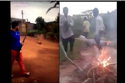 Activists call for psychiatric evaluation of Hyderabad boys who burnt puppies alive