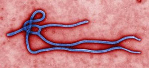 Child tested for Ebola in New York hospital
