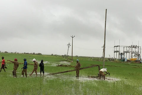A daunting task: These 300 officials are fixing electricity in Nagapattinam post Gaja