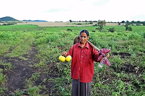 India's weather predictions have grown in accuracy, but more is needed to face climate change