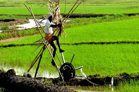 After a spate of farmer suicides, Kerala govt to extend moratorium on loans