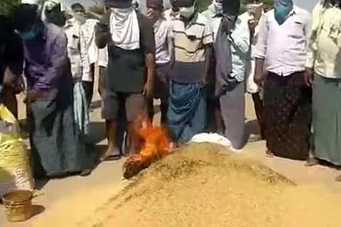 Telangana paddy farmers allege cheating by rice millers over depreciation in crop weighing