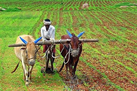 Farmers’ groups to intensify struggle for legal rights around debt, prices