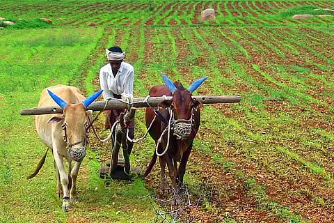 NITI Aayog partners with IBM to develop crop yield prediction model using AI