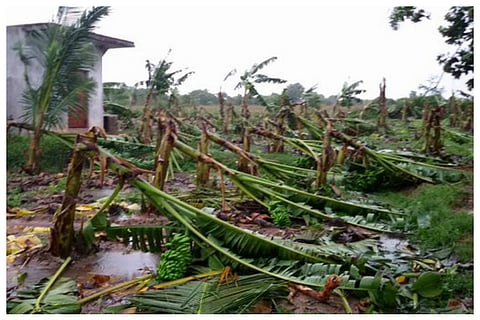 Rehabilitation in Cuddalore begins after heavy rains, but reservoirs still need more water