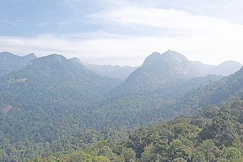 Silent Valley: A controversy that focused global attention on a rainforest 40 years ago