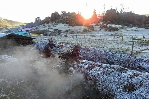 Ooty trembles as temperature drops to 4 degrees