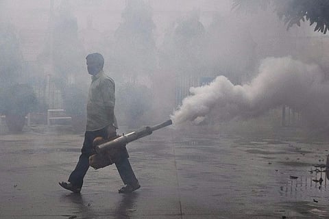 'We are not Gods' says SC after man files plea seeking guidelines to 'abolish' mosquitoes