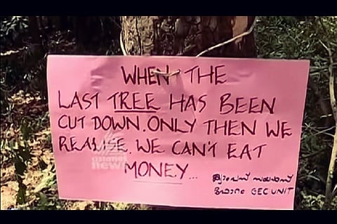 Kerala college decides to axe trees to construct building, faces student opposition