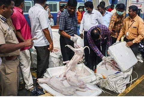 Rotten meat seized from Chennai railway station not dog meat: Food Safety officials