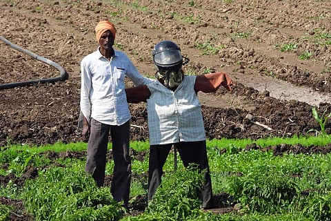 A farmer in Telangana stands beside his helmet-wearing scarecrow