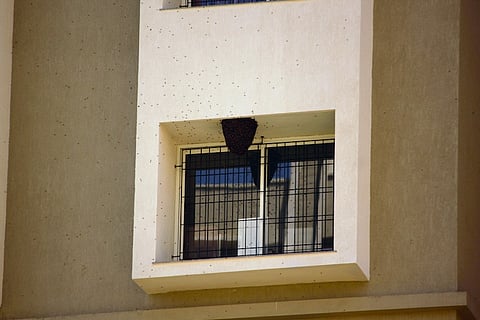 Wild bees in balconies: As trees vanish, B’luru’s suburbs are dealing with more hives