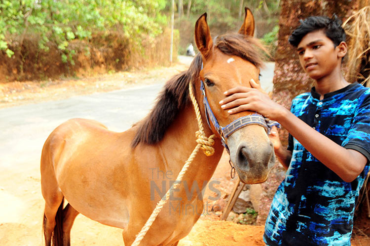 This Kerala teen wanted a motorbike, but his father gifted him a horse instead