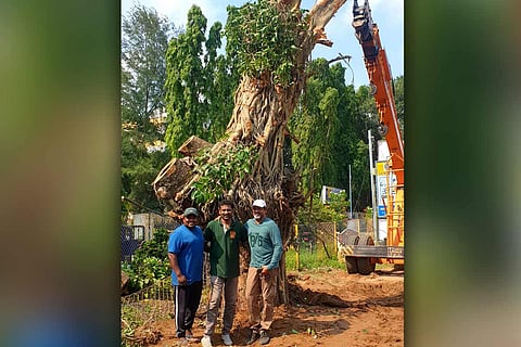 Residents of Machilipatnam, Vata Foundation standing in front of the translocated tree