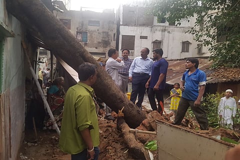 Heavy rains and strong winds lash Hyd: Two die, 162 trees uprooted