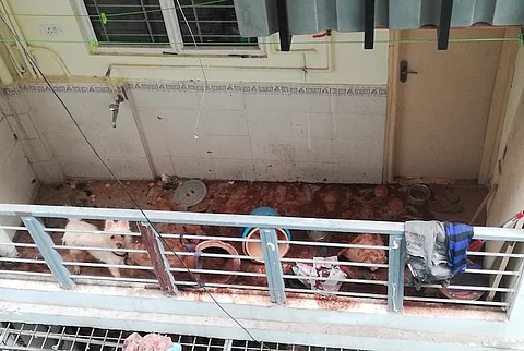 Pet dog left without food for 9 days dies in Hyderabad, owner booked for cruelty