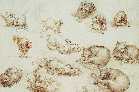 Why Leonardo da Vinci is the genius who would have aced the internet cat craze