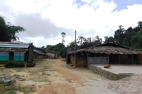 This tribal village in Kerala has been under self-declared lockdown since July 1