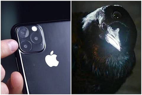 Is it an induction stove? Is it a three-eyed-raven? No, it's iPhone 11 Pro