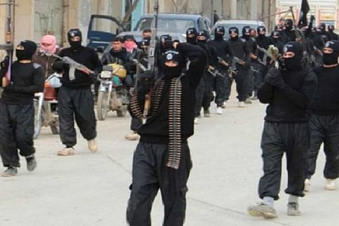 ISIS via WhatsApp: ‘Blow Yourself Up, O Lion'