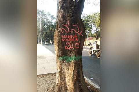 BBMP to widen Jayamahal Road, to rope in experts for translocating trees