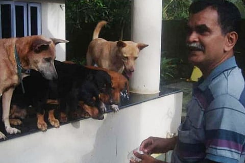 Kerala man laid to rest at the farm he built for abandoned and stray dogs