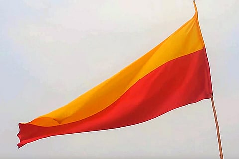 Place in our hearts for yellow and red and Tricolour: A Kannadiga’s plea for state flag