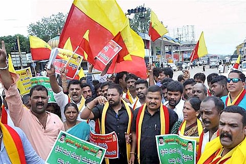 ‘What’s illegal about a Karnataka flag?’: State Law Min takes on national BJP, Yeddy talks soft