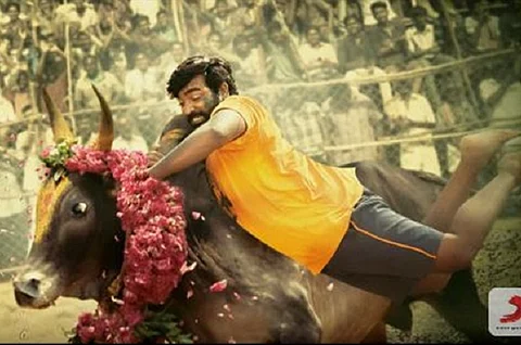 ‘Karuppan’ review: Vijay Sethupathi and Tanya shine in a story that’s been done to death