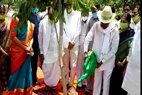 Environment