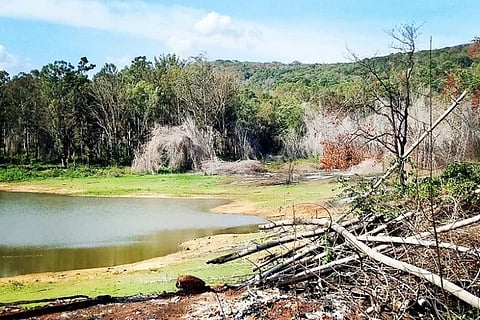 How a colonial hunter’s writings inspired conservation efforts in south Indian forests
