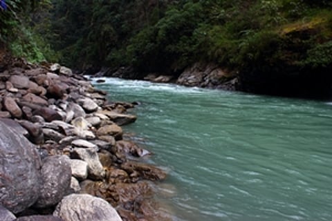No immediate threat of flood in Kosi, says Centre