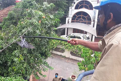 KSEB men at work